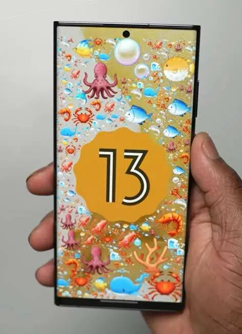 android 13 update with one ui 5 in samsung galaxy phone
