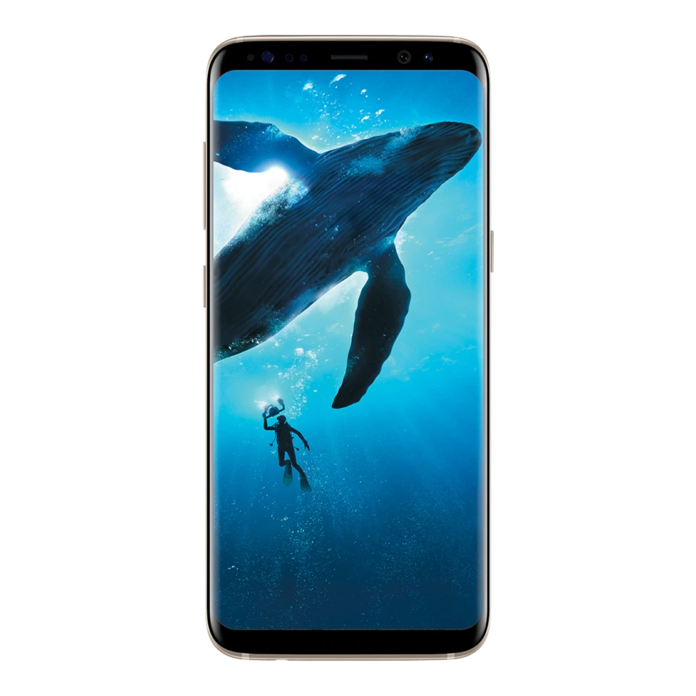 Galaxy S8 Dual SIM hardware render